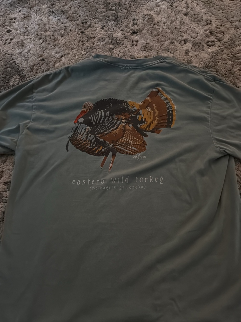 Men's Eastern Wild Turkey Graphic Short-Sleeve Tee - Sage Green